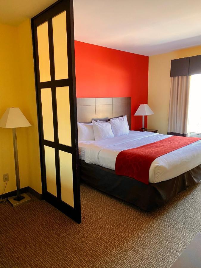Comfort Suites Rock Hill Manchester Meadows Area Bagian luar foto