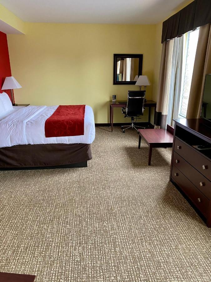 Comfort Suites Rock Hill Manchester Meadows Area Bagian luar foto