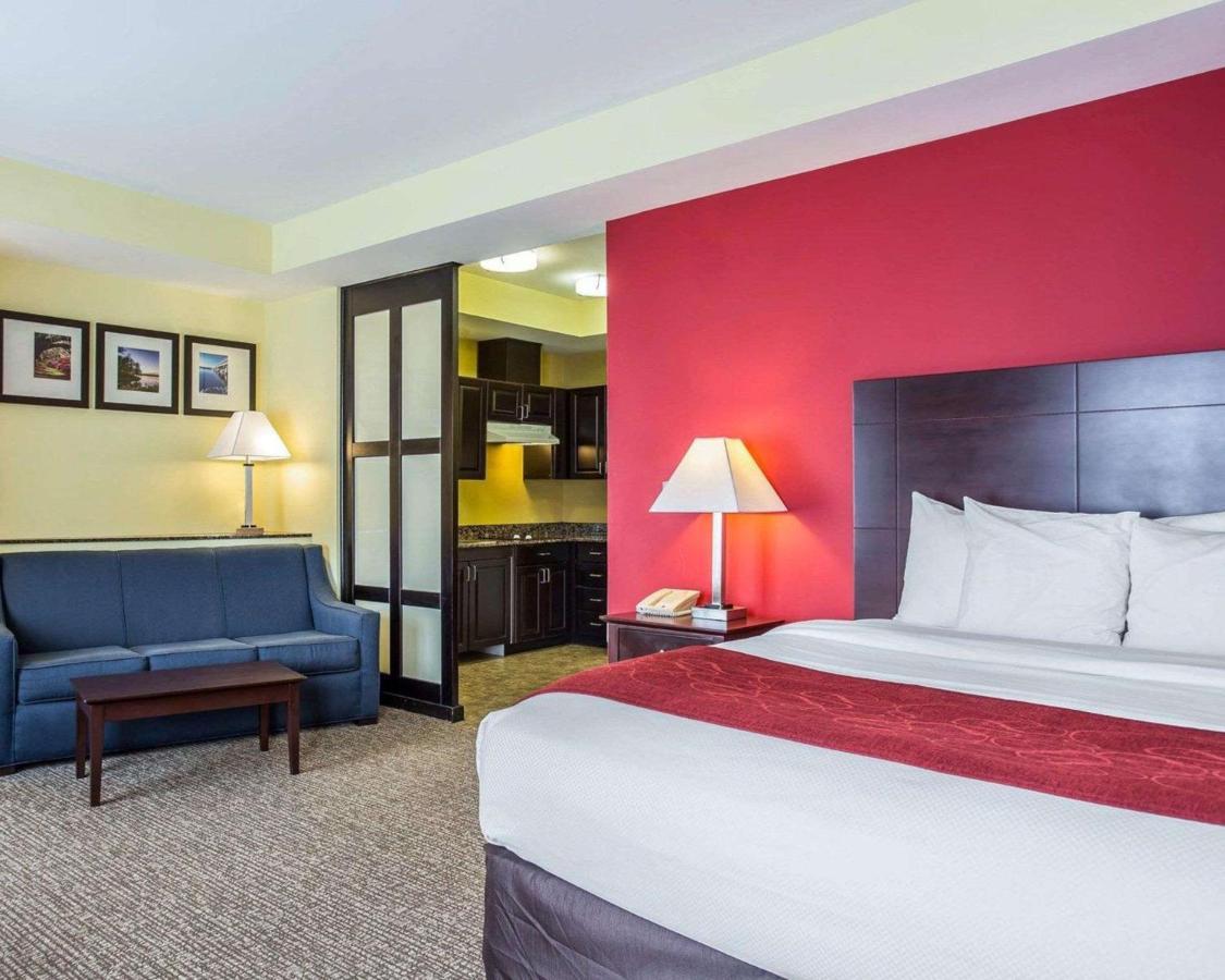 Comfort Suites Rock Hill Manchester Meadows Area Bagian luar foto
